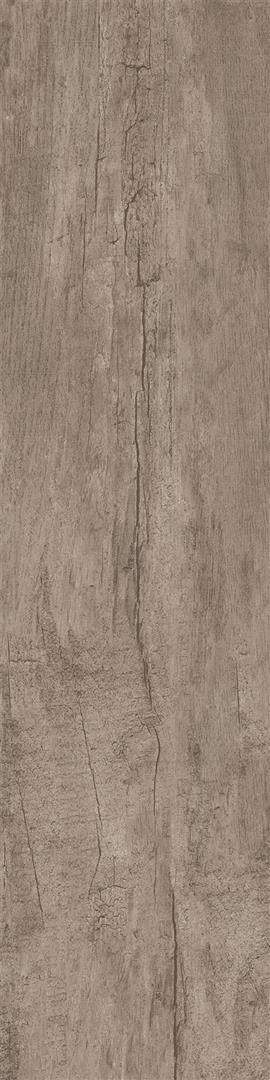Hinoki