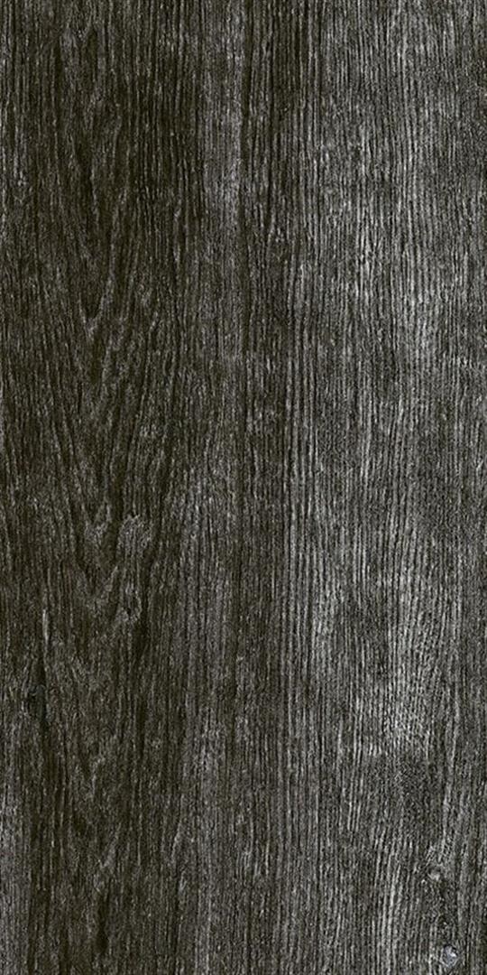 Palmwood