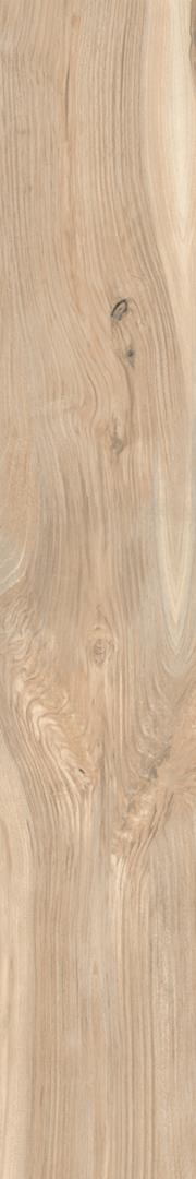 Fontana