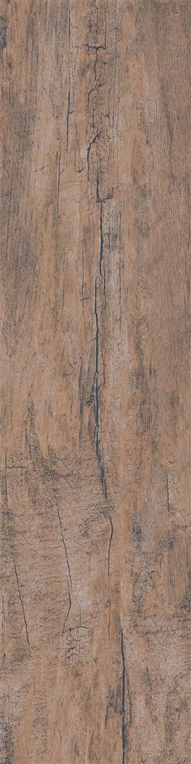 Hinoki