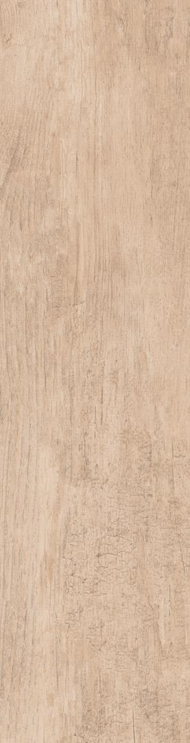 Hinoki