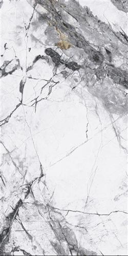 Premium Marble Visage