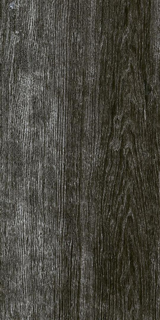 Palmwood