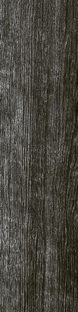 Palmwood